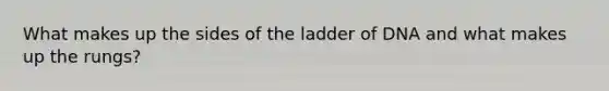 What makes up the sides of the ladder of DNA and what makes up the rungs?