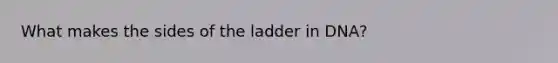 What makes the sides of the ladder in DNA?