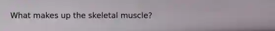 What makes up the skeletal muscle?