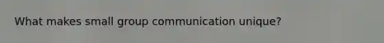 What makes small group communication unique?