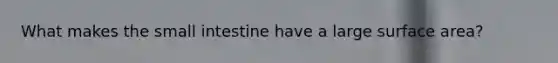 What makes the small intestine have a large surface area?