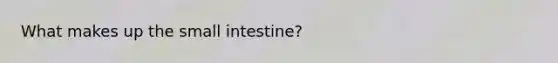 What makes up the small intestine?