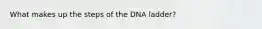 What makes up the steps of the DNA ladder?