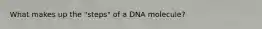 What makes up the "steps" of a DNA molecule?