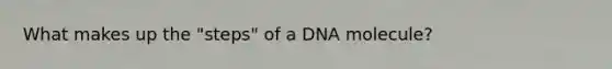 What makes up the "steps" of a DNA molecule?