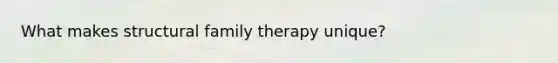 What makes structural family therapy unique?