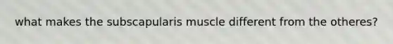 what makes the subscapularis muscle different from the otheres?