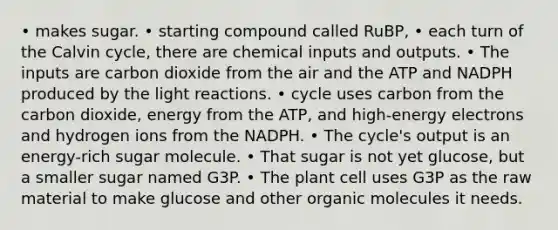 • makes sugar. • starting compound called RuBP, • each turn of the Calvin cycle, there are chemical inputs and outputs. • The inputs are carbon dioxide from the air and the ATP and NADPH produced by the light reactions. • cycle uses carbon from the carbon dioxide, energy from the ATP, and high-energy electrons and hydrogen ions from the NADPH. • The cycle's output is an energy-rich sugar molecule. • That sugar is not yet glucose, but a smaller sugar named G3P. • The plant cell uses G3P as the raw material to make glucose and other organic molecules it needs.