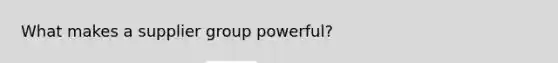 What makes a supplier group powerful?