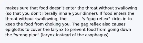 makes sure that food doesn't enter the throat without swallowing (so that you don't literally inhale your dinner). If food enters the throat without swallowing, the _______'s "gag reflex" kicks in to keep the food from choking you. The gag reflex also causes epiglottis to cover the larynx to prevent food from going down the "wrong pipe" (larynx instead of the esophagus)