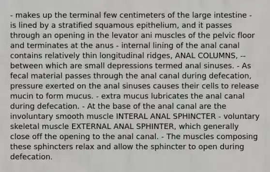 - makes up the terminal few centimeters of the large intestine - is lined by a stratified squamous epithelium, and it passes through an opening in the levator ani muscles of the pelvic floor and terminates at the anus - internal lining of the anal canal contains relatively thin longitudinal ridges, ANAL COLUMNS, -- between which are small depressions termed anal sinuses. - As fecal material passes through the anal canal during defecation, pressure exerted on the anal sinuses causes their cells to release mucin to form mucus. - extra mucus lubricates the anal canal during defecation. - At the base of the anal canal are the involuntary smooth muscle INTERAL ANAL SPHINCTER - voluntary skeletal muscle EXTERNAL ANAL SPHINTER, which generally close off the opening to the anal canal. - The muscles composing these sphincters relax and allow the sphincter to open during defecation.