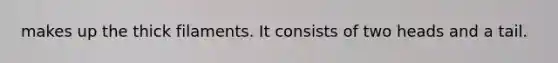 makes up the thick filaments. It consists of two heads and a tail.