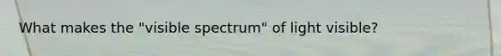 What makes the "visible spectrum" of light visible?