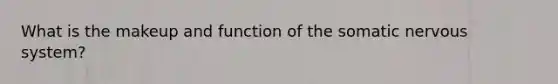 What is the makeup and function of the somatic nervous system?