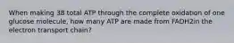 When making 38 total ATP through the complete oxidation of one glucose molecule, how many ATP are made from FADH2in the electron transport chain?