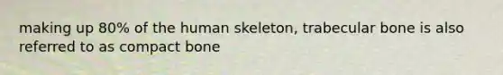 making up 80% of the human skeleton, trabecular bone is also referred to as compact bone