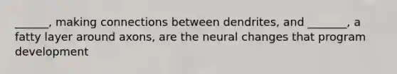 ______, making connections between dendrites, and _______, a fatty layer around axons, are the neural changes that program development