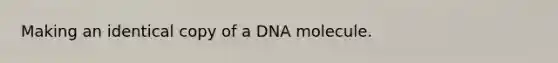 Making an identical copy of a DNA molecule.