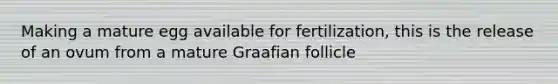 Making a mature egg available for fertilization, this is the release of an ovum from a mature Graafian follicle