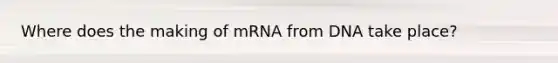 Where does the making of mRNA from DNA take place?