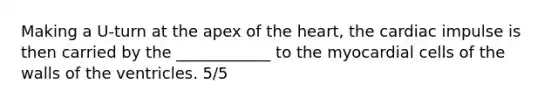 Making a U-turn at the apex of the heart, the cardiac impulse is then carried by the ____________ to the myocardial cells of the walls of the ventricles. 5/5