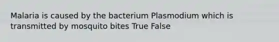 Malaria is caused by the bacterium Plasmodium which is transmitted by mosquito bites True False