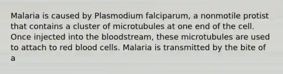 Malaria is caused by Plasmodium falciparum, a nonmotile protist that contains a cluster of microtubules at one end of the cell. Once injected into the bloodstream, these microtubules are used to attach to red blood cells. Malaria is transmitted by the bite of a