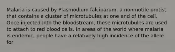 Malaria is caused by Plasmodium falciparum, a nonmotile protist that contains a cluster of microtubules at one end of the cell. Once injected into the bloodstream, these microtubules are used to attach to red blood cells. In areas of the world where malaria is endemic, people have a relatively high incidence of the allele for