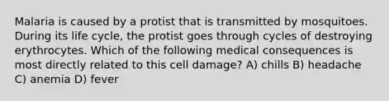 Malaria is caused by a protist that is transmitted by mosquitoes. During its life cycle, the protist goes through cycles of destroying erythrocytes. Which of the following medical consequences is most directly related to this cell damage? A) chills B) headache C) anemia D) fever