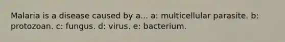 Malaria is a disease caused by a... a: multicellular parasite. b: protozoan. c: fungus. d: virus. e: bacterium.