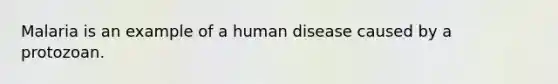 Malaria is an example of a human disease caused by a protozoan.