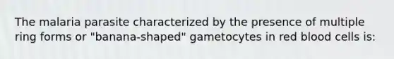 The malaria parasite characterized by the presence of multiple ring forms or "banana-shaped" gametocytes in red blood cells is: