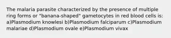 The malaria parasite characterized by the presence of multiple ring forms or "banana-shaped" gametocytes in red blood cells is: a)Plasmodium knowlesi b)Plasmodium falciparum c)Plasmodium malariae d)Plasmodium ovale e)Plasmodium vivax