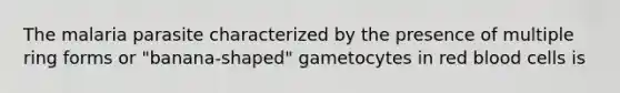 The malaria parasite characterized by the presence of multiple ring forms or "banana-shaped" gametocytes in red blood cells is
