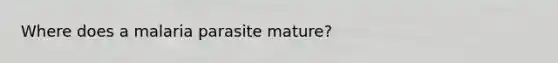 Where does a malaria parasite mature?