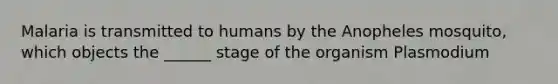 Malaria is transmitted to humans by the Anopheles mosquito, which objects the ______ stage of the organism Plasmodium