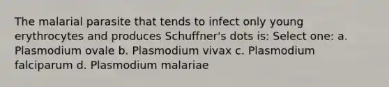 The malarial parasite that tends to infect only young erythrocytes and produces Schuffner's dots is: Select one: a. Plasmodium ovale b. Plasmodium vivax c. Plasmodium falciparum d. Plasmodium malariae