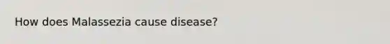 How does Malassezia cause disease?