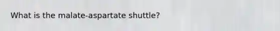 What is the malate-aspartate shuttle?