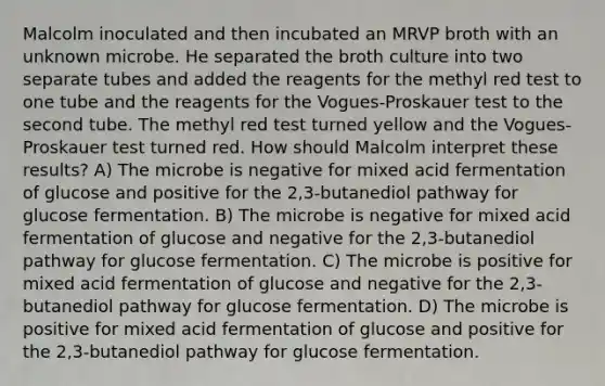 Malcolm inoculated and then incubated an MRVP broth with an unknown microbe. He separated the broth culture into two separate tubes and added the reagents for the methyl red test to one tube and the reagents for the Vogues-Proskauer test to the second tube. The methyl red test turned yellow and the Vogues-Proskauer test turned red. How should Malcolm interpret these results? A) The microbe is negative for mixed acid fermentation of glucose and positive for the 2,3-butanediol pathway for glucose fermentation. B) The microbe is negative for mixed acid fermentation of glucose and negative for the 2,3-butanediol pathway for glucose fermentation. C) The microbe is positive for mixed acid fermentation of glucose and negative for the 2,3-butanediol pathway for glucose fermentation. D) The microbe is positive for mixed acid fermentation of glucose and positive for the 2,3-butanediol pathway for glucose fermentation.