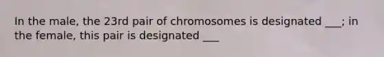 In the male, the 23rd pair of chromosomes is designated ___; in the female, this pair is designated ___