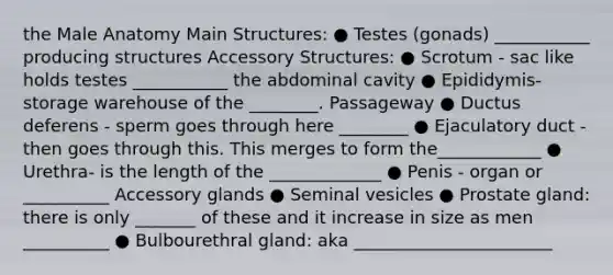 the Male Anatomy Main Structures: ● Testes (gonads) ___________ producing structures Accessory Structures: ● Scrotum - sac like holds testes ___________ the abdominal cavity ● Epididymis- storage warehouse of the ________. Passageway ● Ductus deferens - sperm goes through here ________ ● Ejaculatory duct - then goes through this. This merges to form the____________ ● Urethra- is the length of the _____________ ● Penis - organ or __________ Accessory glands ● Seminal vesicles ● Prostate gland: there is only _______ of these and it increase in size as men __________ ● Bulbourethral gland: aka _______________________