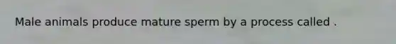 Male animals produce mature sperm by a process called .