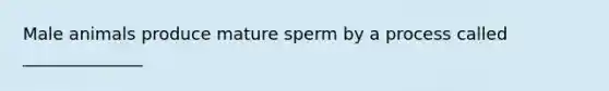 Male animals produce mature sperm by a process called ______________