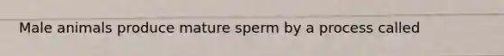 Male animals produce mature sperm by a process called