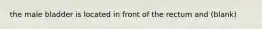 the male bladder is located in front of the rectum and (blank)