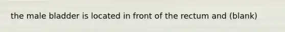 the male bladder is located in front of the rectum and (blank)