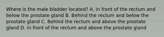 Where is the male bladder located? A. in front of the rectum and below the prostate gland B. Behind the rectum and below the prostate gland C. Behind the rectum and above the prostate gland D. In front of the rectum and above the prostate gland