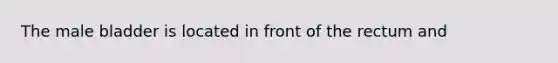 The male bladder is located in front of the rectum and