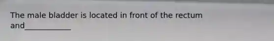 The male bladder is located in front of the rectum and____________